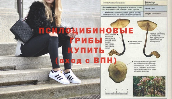 каннабис Михайловск