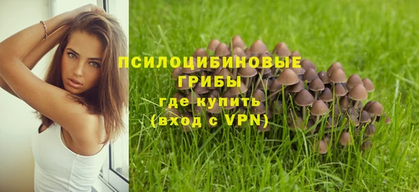 кокаин Михайлов