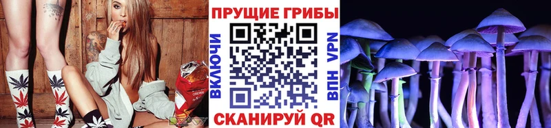 как найти   Магадан  Псилоцибиновые грибы прущие грибы 