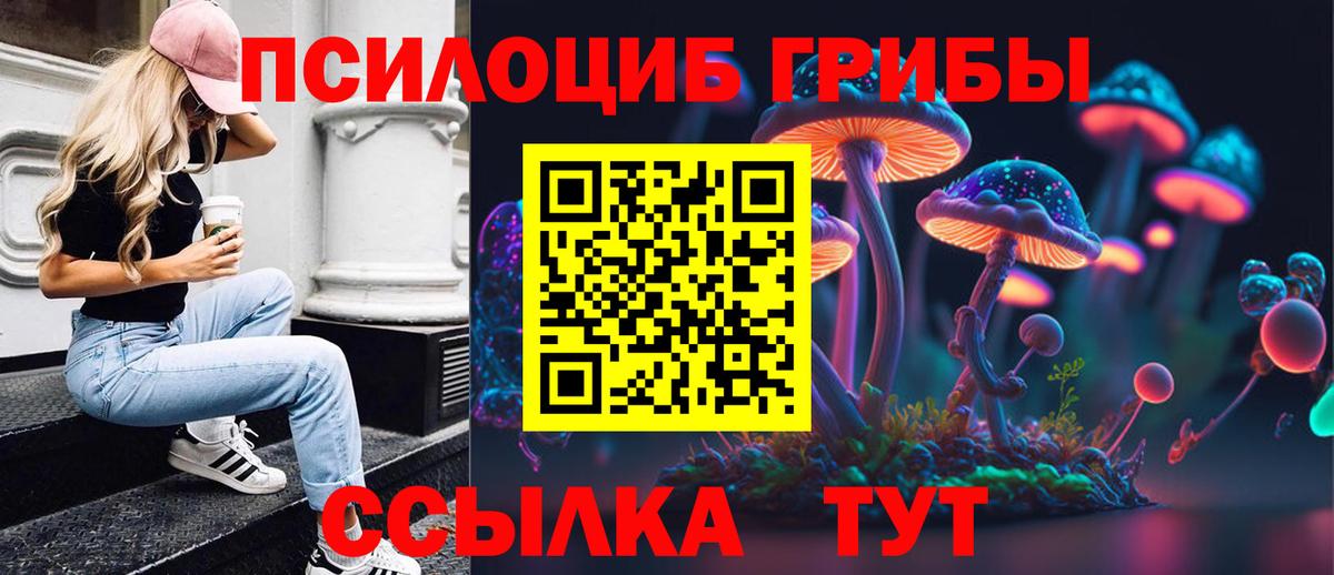 Галлюциногенные грибы мухоморы Магадан