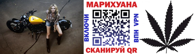 Каннабис гибрид  Магадан 
